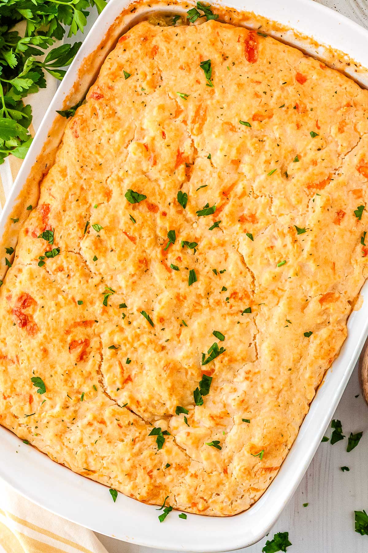 9x13 chicken pot pie with cheddar biscuit topping baked until golden brown and garnished with fresh parsley.