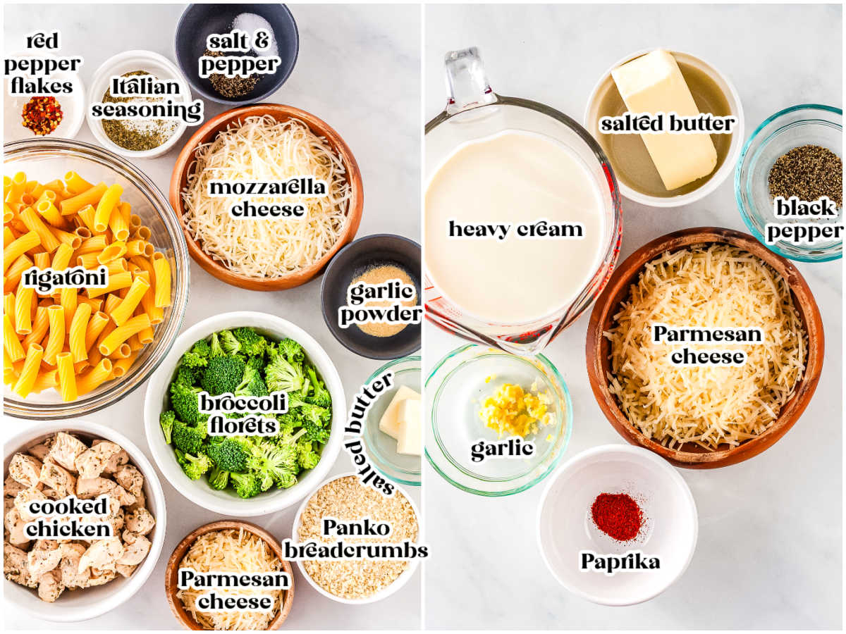 Ingredients for alfredo chicken broccoli bake including rigatoni pasta, cooked chicken, broccoli florets, mozzarella, Parmesan, heavy cream, butter, garlic, and seasonings arranged in bowls.