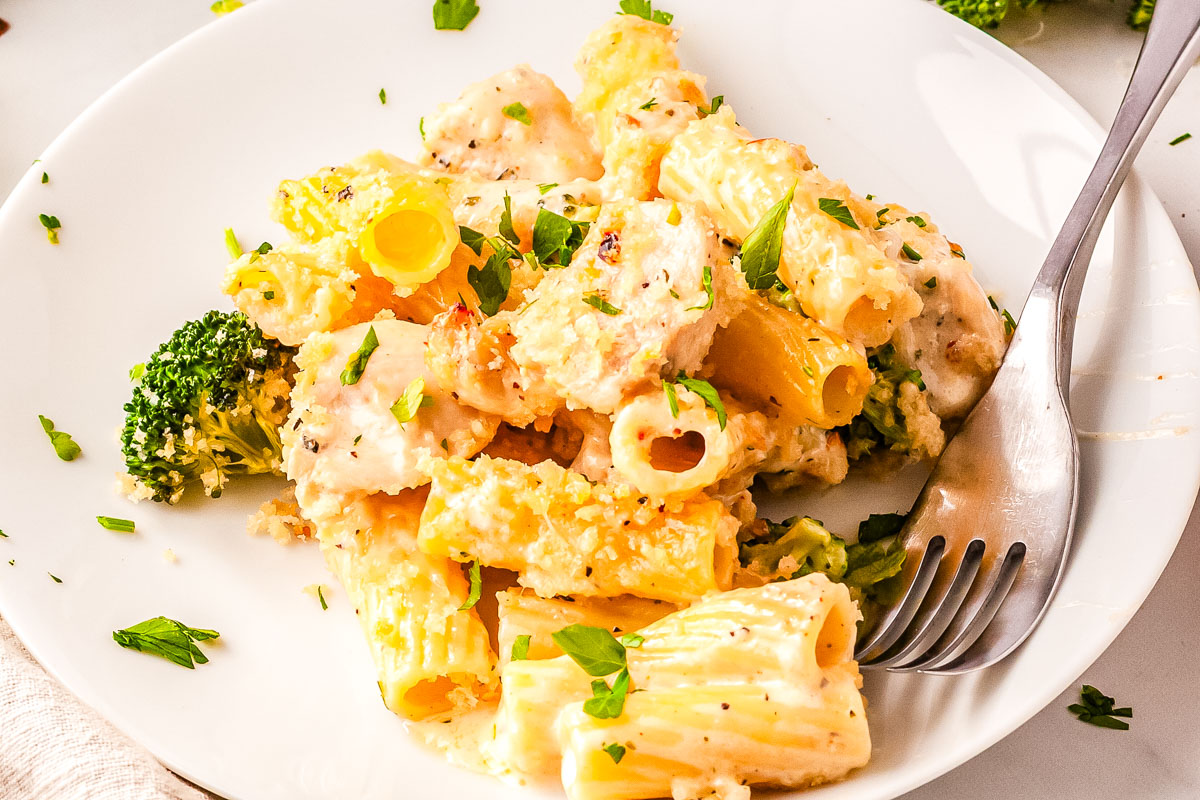 Plate of creamy chicken and broccoli alfredo bake with rigatoni pasta, tender chicken, and broccoli florets.