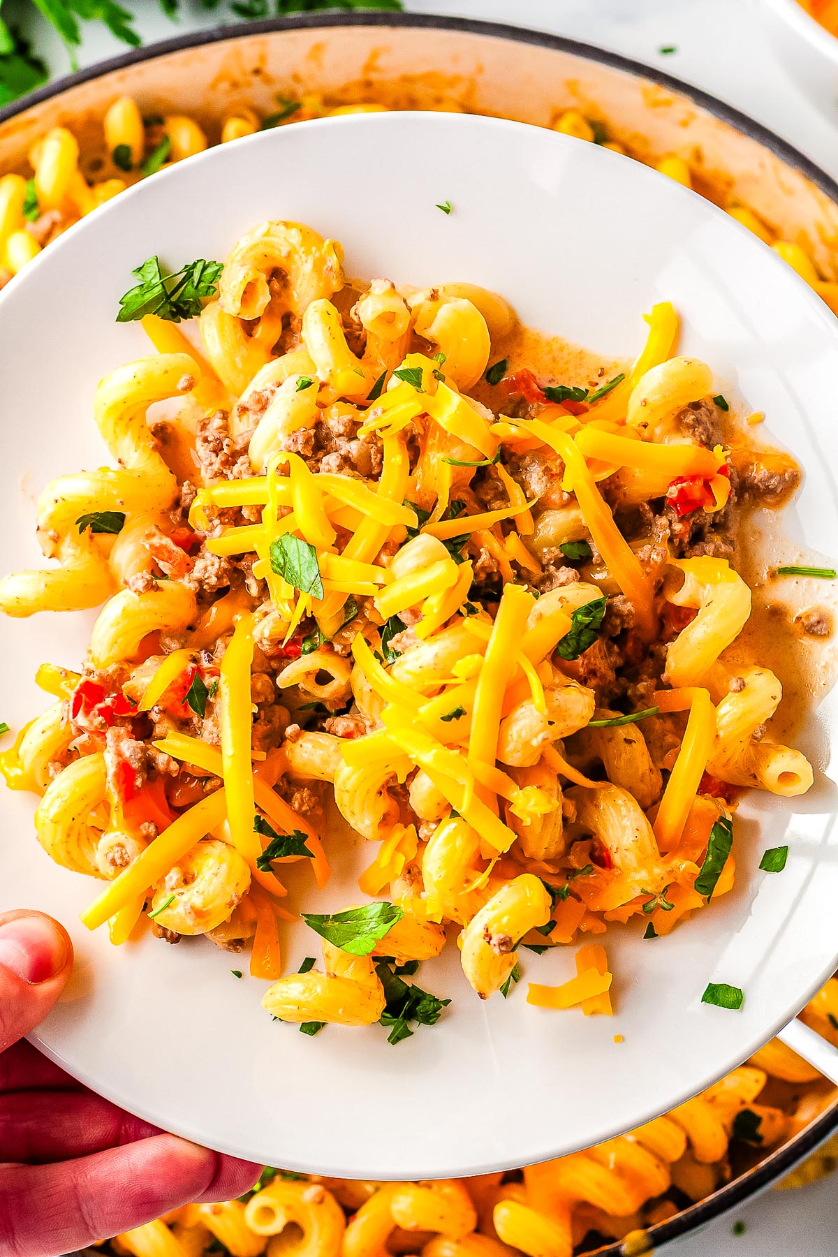 Creamy Rotel pasta with ground beef and cheddar cheese served in a white bowl with fresh herbs on top.